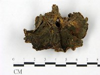 登錄號:F0023397藏品圖，第3張