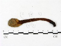 登錄號:F0023399藏品圖，第1張