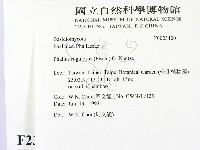 登錄號:F0023400藏品圖，第2張