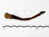 登錄號:F0023400藏品圖，第3張