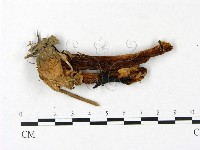 登錄號:F0023401藏品圖，第3張