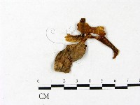 登錄號:F0023402藏品圖，第3張