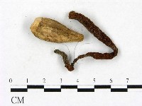 登錄號:F0023403藏品圖，第1張