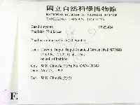 登錄號:F0023404藏品圖，第2張