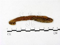 登錄號:F0023405藏品圖，第1張