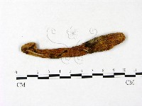 登錄號:F0023405藏品圖，第3張