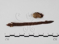 登錄號:F0023406藏品圖，第1張