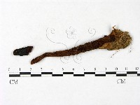 登錄號:F0023407藏品圖，第1張