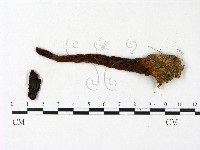 登錄號:F0023407藏品圖，第3張