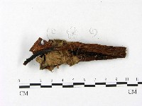 登錄號:F0023408藏品圖，第3張