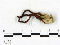 登錄號:F0023410藏品圖，第1張