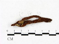 登錄號:F0023411藏品圖，第1張