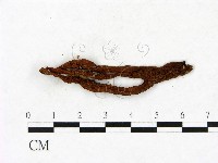 登錄號:F0023411藏品圖，第3張