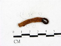 登錄號:F0023413藏品圖，第1張