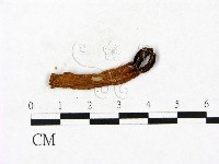 登錄號:F0023413藏品圖，第3張