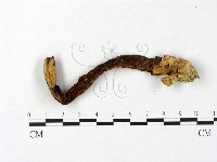 登錄號:F0023414藏品圖，第3張