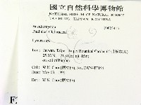 登錄號:F0023415藏品圖，第2張