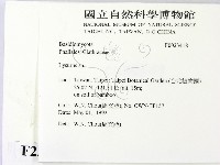 登錄號:F0023418藏品圖，第2張