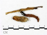 登錄號:F0023418藏品圖，第3張