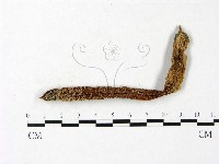 登錄號:F0023419藏品圖，第3張