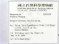 登錄號:F0023420藏品圖，第2張