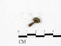 登錄號:F0023421藏品圖，第1張