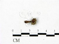 登錄號:F0023421藏品圖，第3張