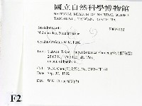 登錄號:F0023422藏品圖，第2張