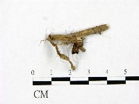 登錄號:F0023422藏品圖，第1張