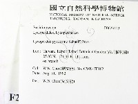 登錄號:F0023423藏品圖，第2張