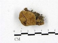 登錄號:F0023423藏品圖，第1張