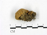 登錄號:F0023423藏品圖，第3張