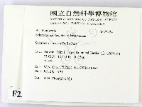 登錄號:F0023424藏品圖，第2張