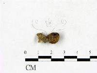 登錄號:F0023424藏品圖，第3張