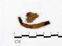 登錄號:F0023425藏品圖，第1張