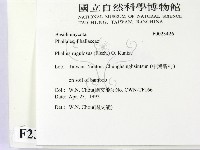 登錄號:F0023426藏品圖，第2張