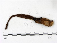 登錄號:F0023426藏品圖，第3張