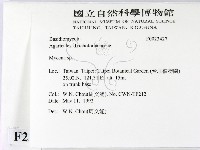 小菇屬藏品圖，第2張