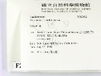 小菇屬藏品圖，第2張