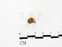 登錄號:F0023433藏品圖，第1張