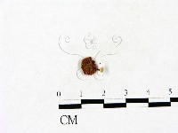 登錄號:F0023433藏品圖，第3張