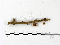 登錄號:F0023435藏品圖，第3張