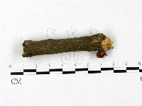 登錄號:F0023436藏品圖，第1張