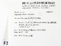 登錄號:F0023437藏品圖，第2張
