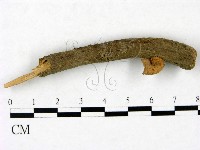 登錄號:F0023437藏品圖，第1張
