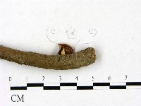 登錄號:F0023437藏品圖，第3張