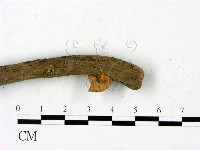 登錄號:F0023437藏品圖，第4張