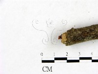 登錄號:F0023438藏品圖，第4張