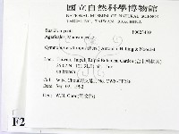 登錄號:F0023439藏品圖，第2張