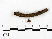 登錄號:F0023439藏品圖，第1張